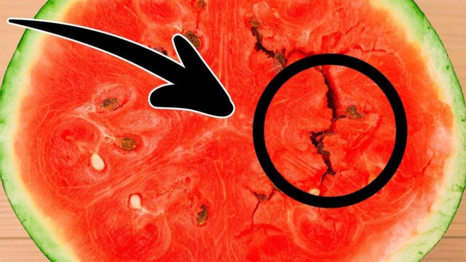 6 Tipps, wie Sie eine gute Wassermelone auswählen und nie wieder Wassermelonen kaufen!