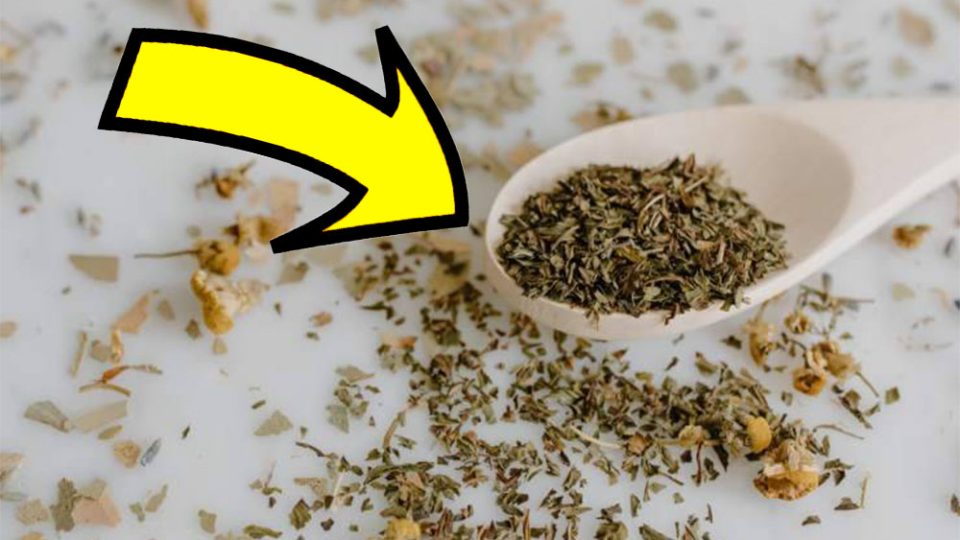 Legen Sie Oregano auf die Fensterbank, um dieses lästige Problem zu beheben (es funktioniert wirklich)