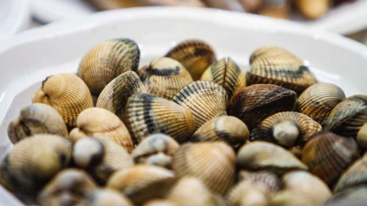Venusmuscheln: Reinigen Sie sie mit dem Trick der Köche. Kein Sand mehr mit dieser Zutat