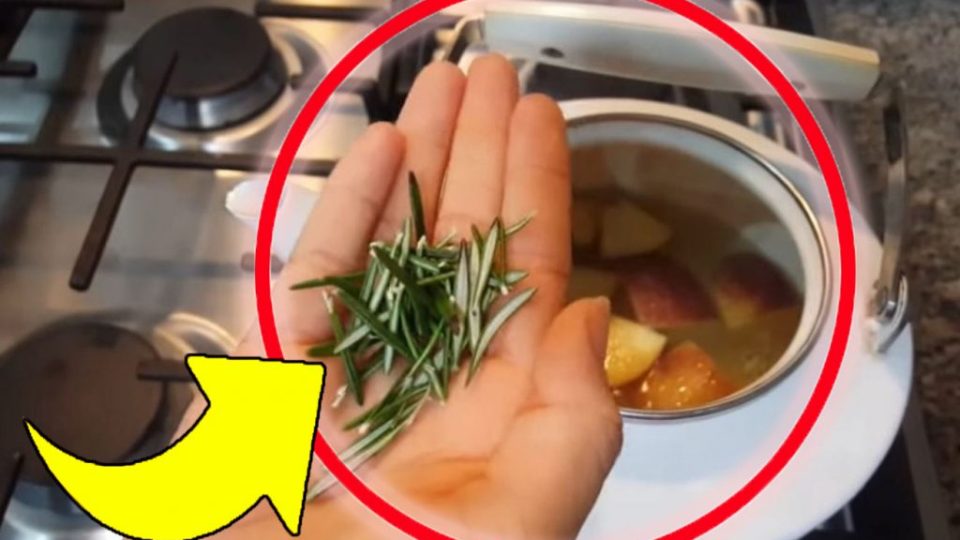 Kochen Sie Apfel und Rosmarin zusammen, Sie werden nicht mehr missen sein: Sie werden das Ergebnis sofort danach sehen!