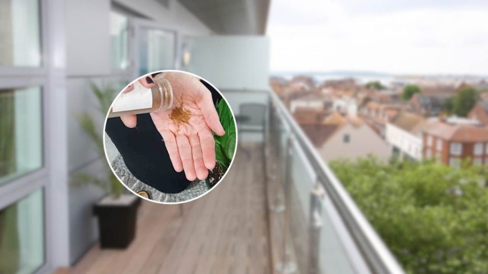 Der unerwartete Grund: Fast jeder schmiert im August Zimt auf den Balkon