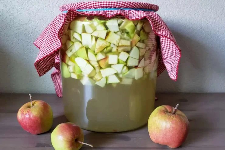 Ich lege die Äpfel in kochendes Wasser und gebe keinen Cent mehr aus. Das hat meine Großmutter früher gemacht!