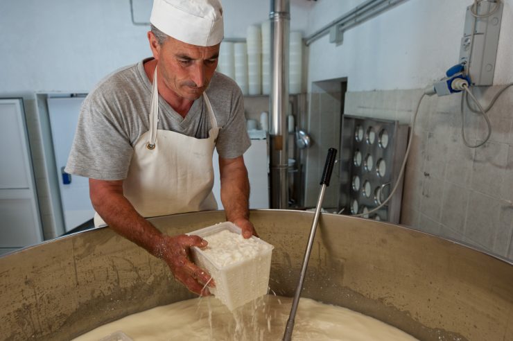 Ist es möglich, Hüttenkäse einzufrieren? Die Antwort der Experten