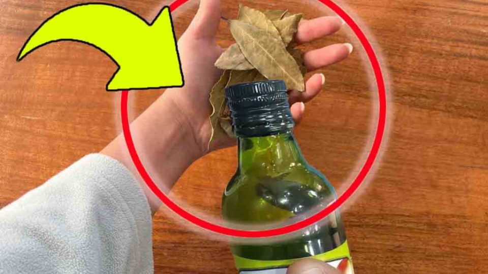 Ein Lorbeerblatt in Öl geben, der uralte Trick vieler Hausfrauen in der Küche Unsere Großmütter haben es immer gemacht!