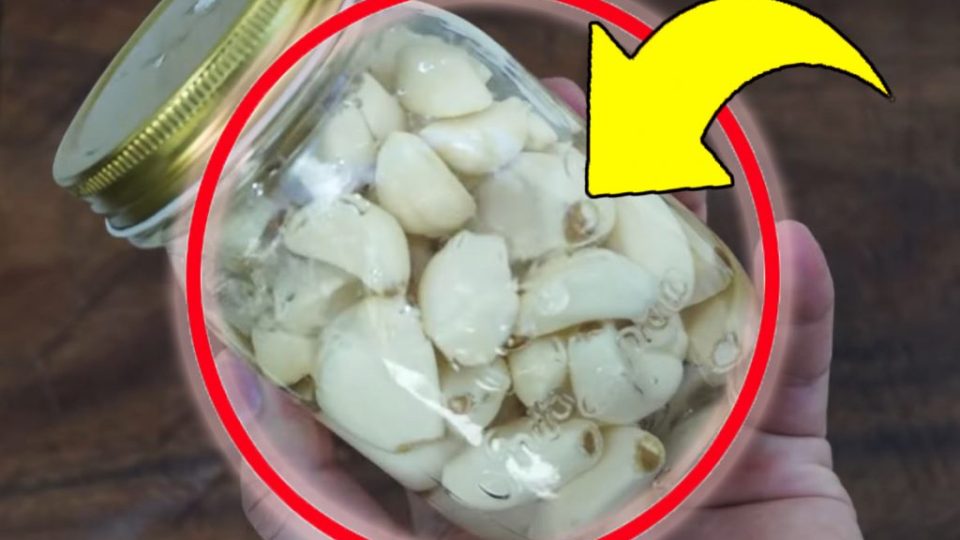 Knoblauch, das ist der Trick, um ihn ein ganzes Jahr lang frisch zu halten: Es ist ganz einfach!