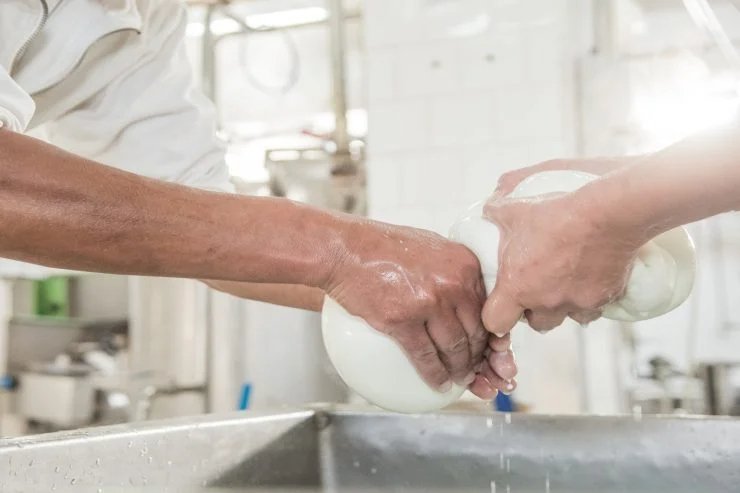 Der beste Büffelmozzarella auf dem Markt | Das Experten-Ranking!