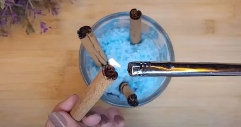 Das ist das Geheimnis, um Ihr Haus die ganze Woche über frisch zu halten