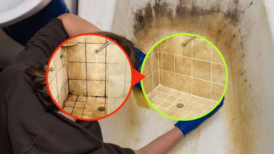 Schimmel im Badezimmer, wie man ihn schnell und effektiv beseitigt: 1 Zutat reicht