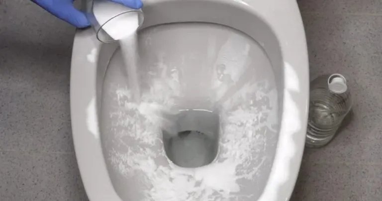 Kalk in der Toilette: Den stärksten Entkalker haben Sie bereits zu Hause und er ist natürlich!