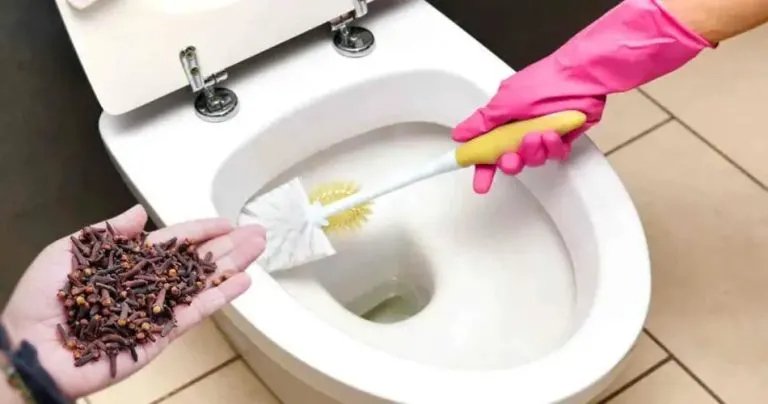 Ein natürlicher Trick, um unangenehme Gerüche im Badezimmer zu neutralisieren und es tagelang gut riechen zu lassen