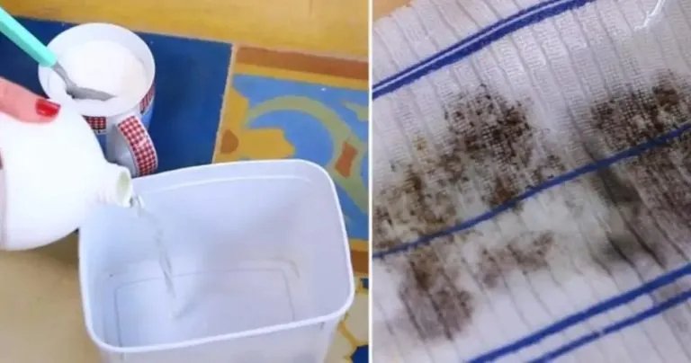 Der Sugar Trick entfernt selbst die hartnäckigsten Pilzflecken – Schritt für Schritt