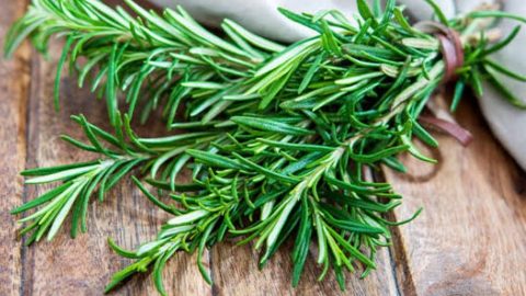 Rosmarin und Nelken: Rezept